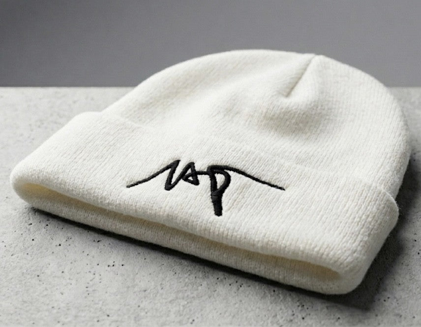 NxT * Classic Beanie 1